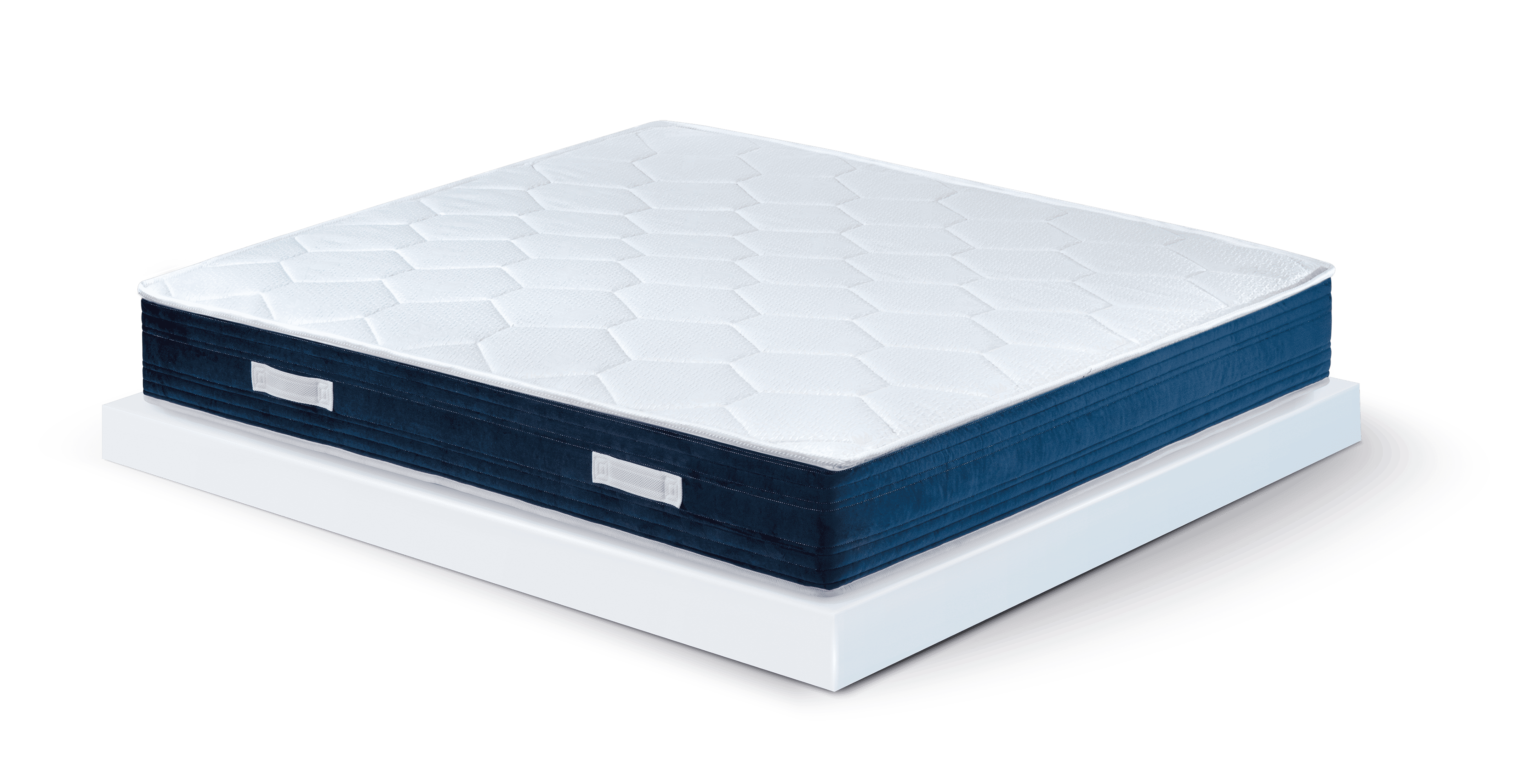 ErgoPlus (1)
